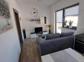 Apartmaji Tisa in Žana，位于Rovte的公寓