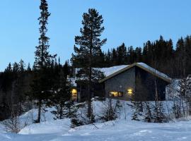 Brand new cabin on the sunny side of Gaustatoppen with a great view，位于Tuddal的酒店