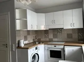 Apartamentai Zarasuose