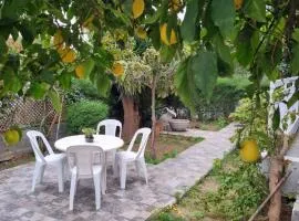 Elpida Lemon Garden House