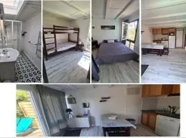 Les fougères A81 Les villages sous les pins LEON 40550