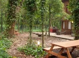 卡巴纳斯拉斯思恩艾斯山林小屋