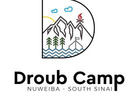 New Droub Camp，位于努韦巴的酒店