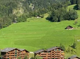 Val D’Illiez mountain apartment.