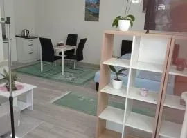 Studio apartman Sokak