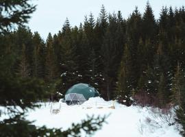 Golden Circle Domes - Glamping Experience，位于塞尔福斯的豪华帐篷