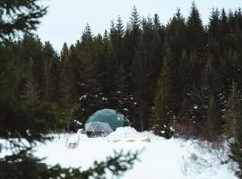 Golden Circle Domes - Glamping Experience