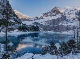 Alpina Appartment Kandersteg，位于坎德施泰格的酒店