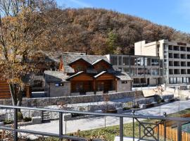 HOTEL EMROVIC RAJ，位于新帕扎尔的酒店