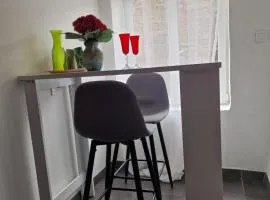 Le camélia de la mazarié