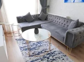 Classic Suite BH13