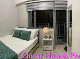 Cherry Blossom Place Quezon City，位于Sangay的酒店