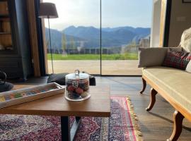 Le Chalet de Castille - chalet pyrénéen grand confort - spa，位于Beaucens的酒店