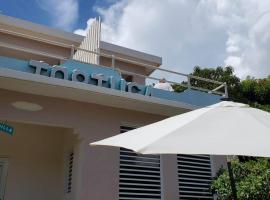 Casa de Tortuga Guesthouse，位于安东尼奥·里韦拉·里德里格斯机场 - VQS附近的酒店