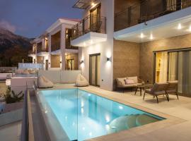 Inorato - Luxury Villas with Private Swimming Pool，位于卡拉米锡的酒店
