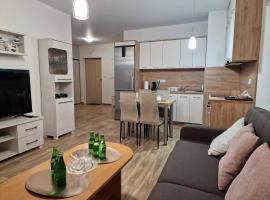 Apartament Elżbieta，位于布斯克·兹德鲁伊的酒店