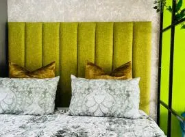 Modern studio apartments