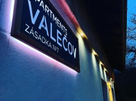 Apartments 1 Valečov-Zásadka 7，位于Boseň的酒店