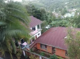 Lushoto views homestays