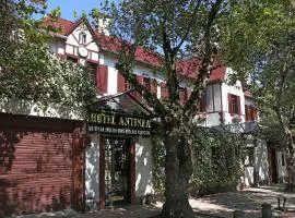 Boutique Hotel Antinea