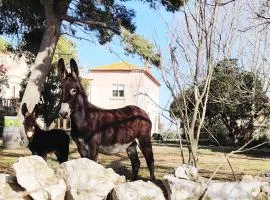 Au cœur de la Nature