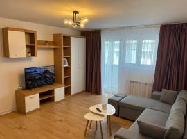 Sunny Apartment in Suceava，位于苏恰瓦的酒店