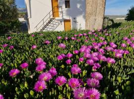 Casita of Casa Olivar，位于Tocon的酒店