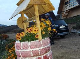 Căsuțele din Zăbran，位于Gornenţi的酒店