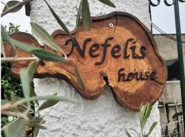 Nefeli's country house，位于Kornáta的度假屋