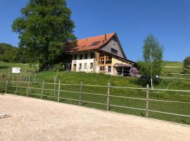 Sérénité et nature dans une ferme équestre - studio familial，位于Massonnens的酒店