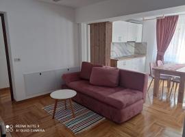 Apartament Cristina，位于博尔沙的公寓