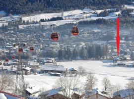 Hotel Edelweiss Kitzbühel，位于基茨比厄尔的酒店