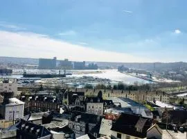 Rouen : Vue panoramique sur la seine avec parking