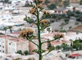 Nijar bella y su Parque Natural Cabo de Gata，位于尼哈尔的酒店