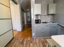 2-room apartment Tynystanov 231