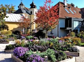 Apartmány Monastery Suites Žireč，位于拉贝河畔皇宫镇的酒店