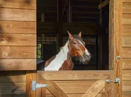 Farm Stay Modern Barndominium in Lakeland!