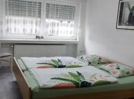 APPARTEMENT GEICHLINGEN