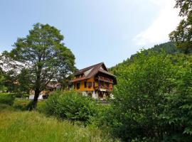 Hotel Gasthaus Hirschen Todtnau Brandenberg Hochschwarzwald Feldberg，位于托特瑙的酒店