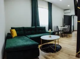 Modern Apartment 3