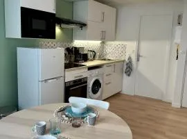 Charmant T2 Cosy en plein centre ville