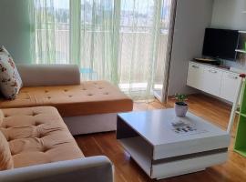 Naki apartmani，位于波德戈里察的酒店