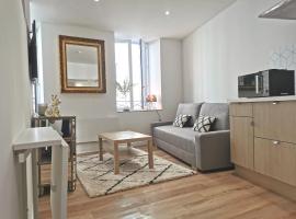 Studio Centre de Foix，位于富瓦的酒店