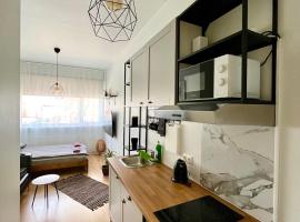 Savi Apartment 4，位于派尔努的酒店