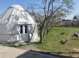 Yurt stay in downtown