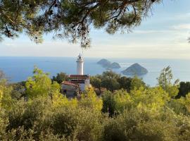 Gelidonya Pansiyon，位于Kumluca的酒店