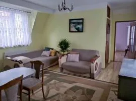 Apartament W Podkowie