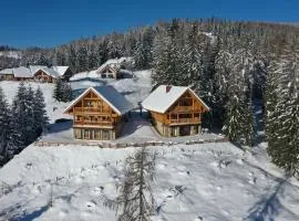 Chalet Hochrindl 2 B