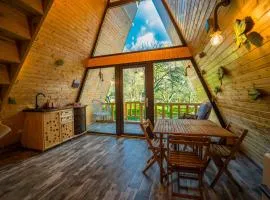 Pensiunea Agroturistica Cerna, Vaideeni