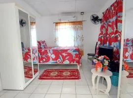 Charming 1-Bedroom House in St Thomas Jamaica